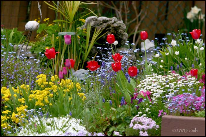 Rock Garden 5259.jpg