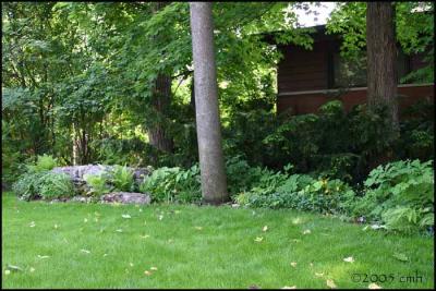 Front Shade Garden 5666.jpg