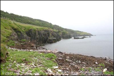 IMG_6712 Cuslett Cove.jpg