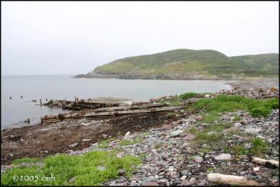 IMG_6714 Cuslett Cove.jpg