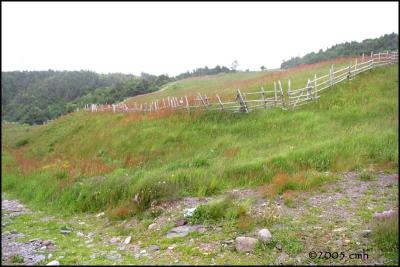 IMG_6716 Cuslett Cove.jpg
