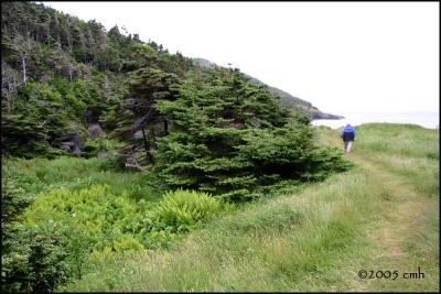 IMG_6728 Jerry at Gooseberry Cove.jpg