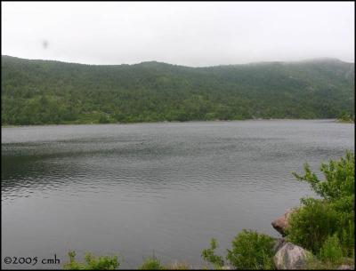 IMG_7091 Pond.jpg