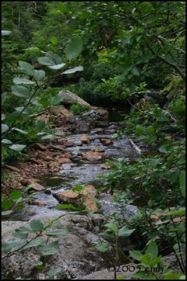 IMG_7194 Above the falls.jpg