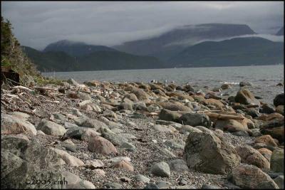 IMG_7241 Beach at Norris Point.jpg