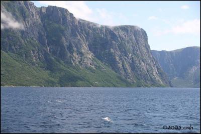 IMG_7278 Western Brook Pond.jpg