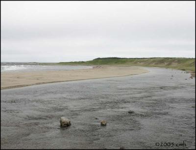 v3/64/512164/3/46728095.CopyofNewfoundlandwebsizeIMG_7318WesternBrookBeach.jpg