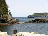 IMG_6624 Tors Cove.jpg