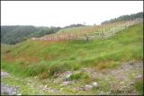 IMG_6716 Cuslett Cove.jpg