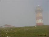 IMG_6963 Cape Pine Lighthouse in the fog.jpg