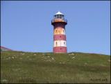 IMG_6998 Cape Pine Lighthouse.jpg