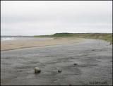 IMG_7318 Western Brook Beach.jpg