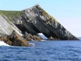 Great Island Witless Bay.jpg