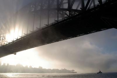 Sydney Fog 4
