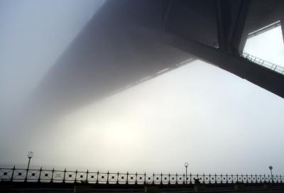 Sydney Fog 5