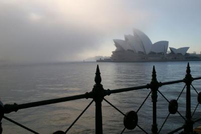 Sydney Fog 10