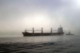 Sydney Fog 7