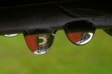 rain drops