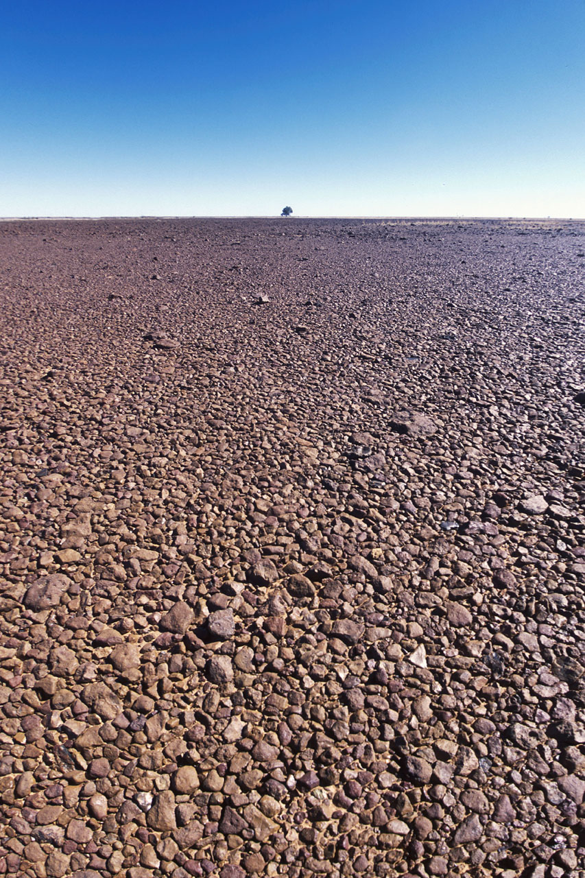 Gibber plain, Diamantina Gates National Park Queensland u002809