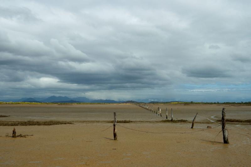 fence on tidal flats behind Shelley Beach  12 by 18 _DSC3712