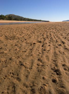 Pallarenda beach, low tide CRW_0324