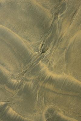 hinchinbrook  island black sand ripples<p> _DSC3047