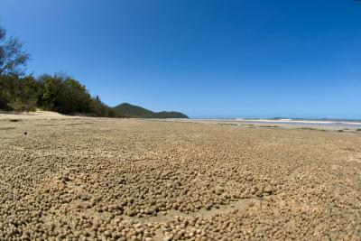 Beach with crab balls Hinchinbrook Island 12 by 18 _DSC6513
