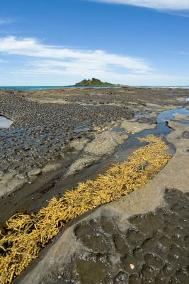 Island and tide pools Shoalhaven NSW 12 by 18 _DSC7424