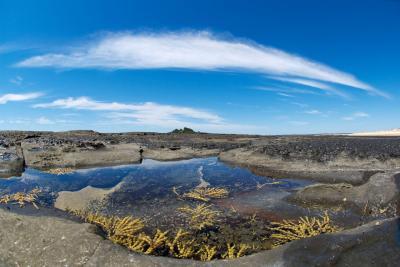 Tide pool and peninsula ground level Shoalhaven NSW 12 by 18 _DSC7429