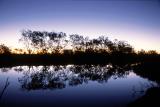 Diamantina Gates NP Queensland Cattle Creek sunrise 12 by 18 u002907