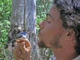 Nicole Kenyon-- Alex Anderson and Lovely Fairy Wren.jpg