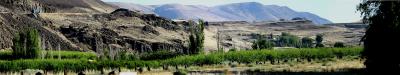 Columbia Gorge with Stone Henge