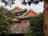 Summer Palace2