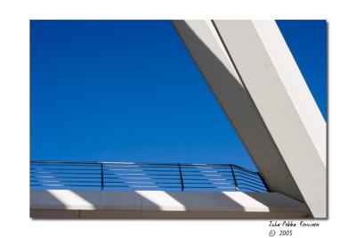 v3/64/587364/3/50983897._MG_2796.jpg