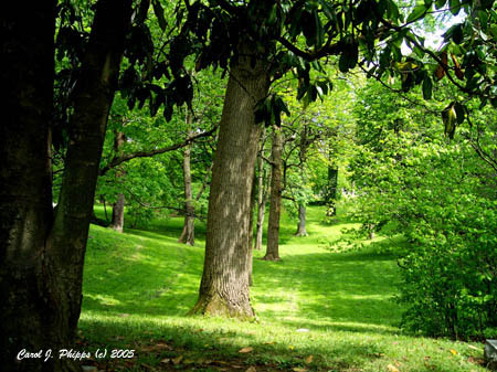 A Place to Breathe.