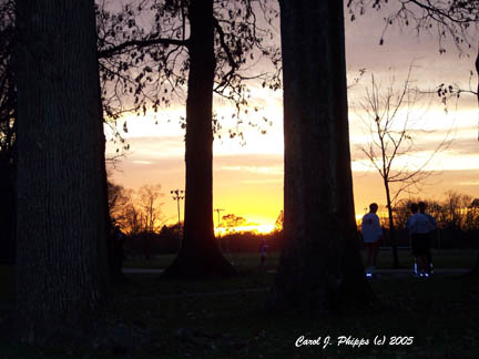 A Walk in the Park.JPG