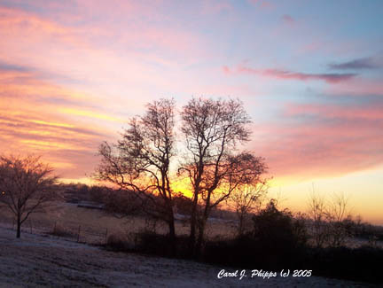 Frosty Christmas Sunset, 2005.JPG