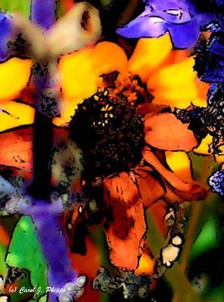 Hidden Beauty Orange and Blue.JPG