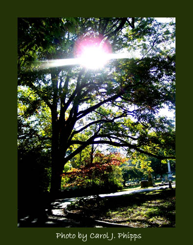Sun and Shadow.JPG