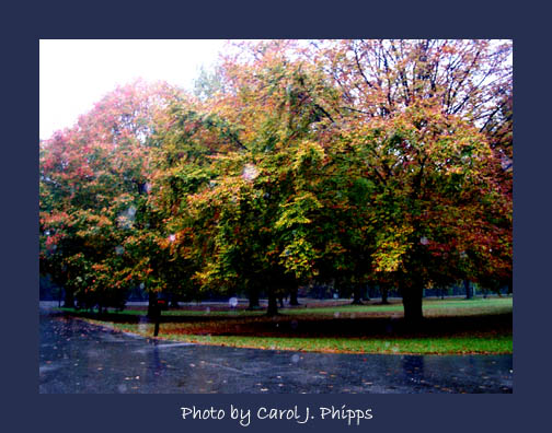 Rainy Fall Day
