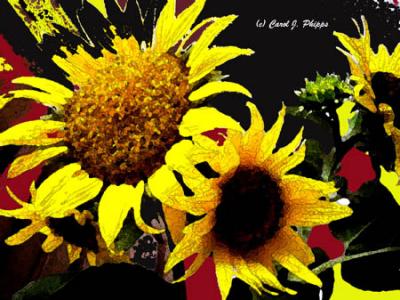 Sunflowers PHOTOSHOP