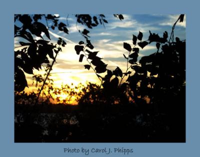 Fall on Ohio River.JPG