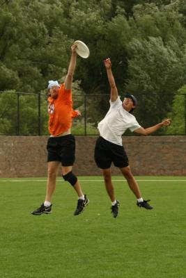 IMG_5033_crop.JPG