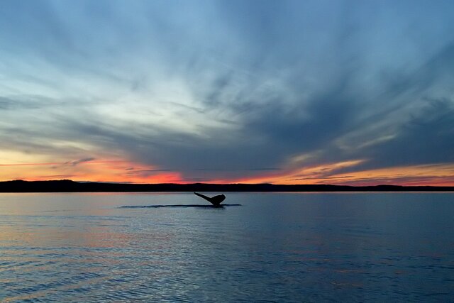 Alaskan sunset