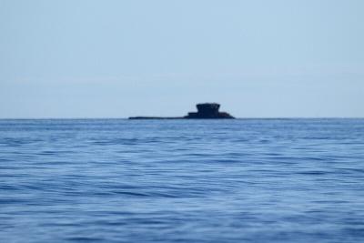 Submarine
