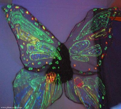 Butterfly Dance Ritual 2005