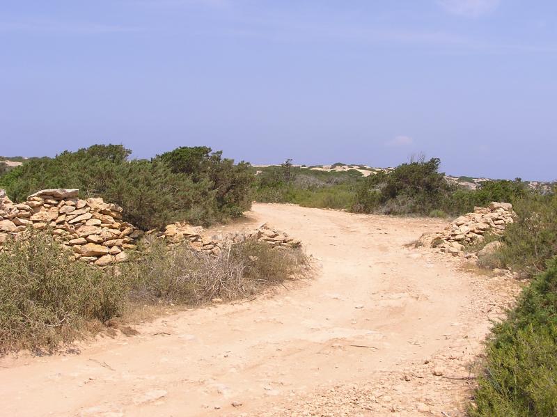 Cami de Sa Pedrera