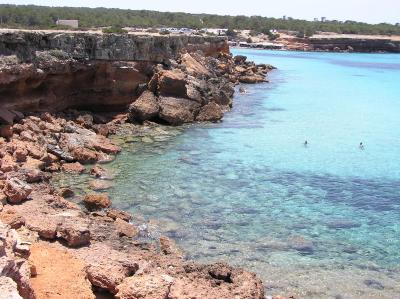 Swimmers explore the cliffs