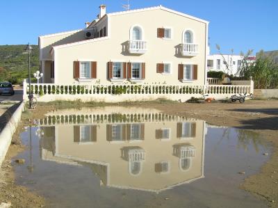 Picture in a Puddle