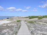 Environmental Beach Path